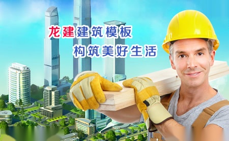 龙建 展示图