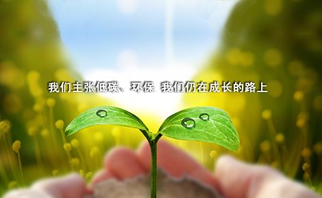 莱恩斯lions 展示图