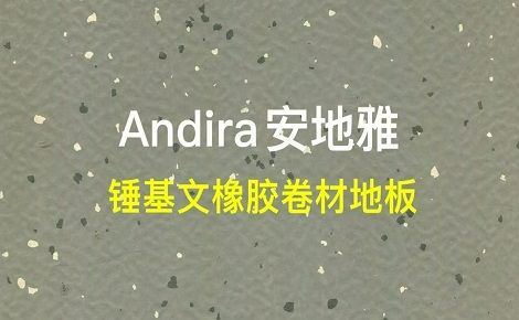 安地雅Andiraflor 展示图