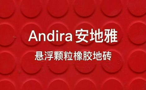 安地雅Andiraflor 展示图