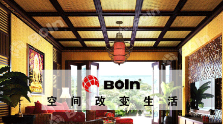 宝兰BOLN 展示图