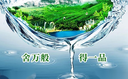 凯欣KAIXIN 展示图