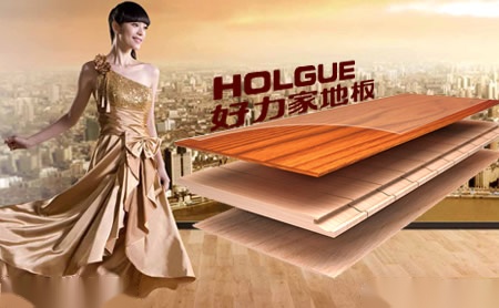好力家HOLGUE 展示图