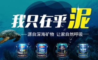 经典漆Jady 展示图