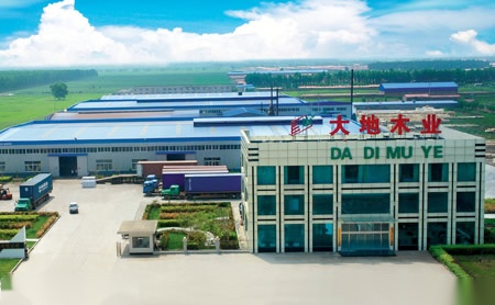 大地 展示图