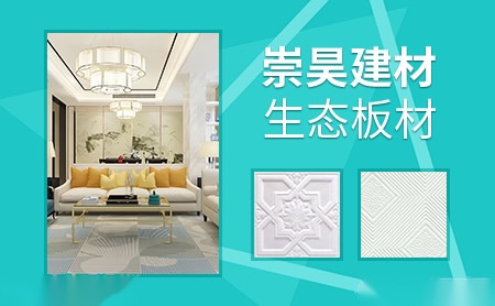 崇昊 展示图