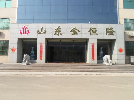 金恒隆 展示图