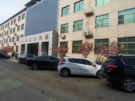 金恒隆 展示图