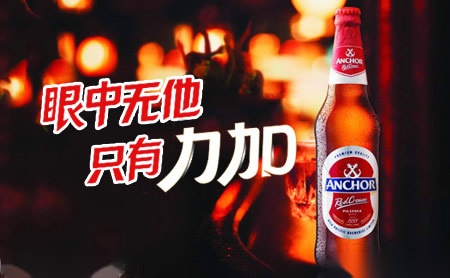 康家KONGCA 展示图