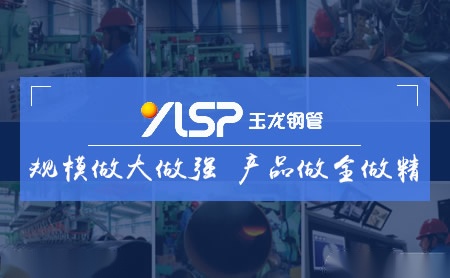 玉龙 展示图