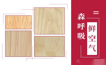 平洋王 展示图