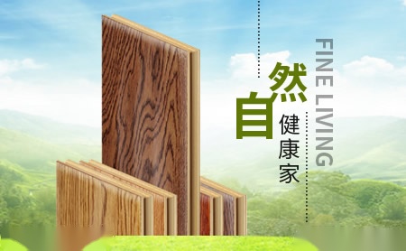 圣力 展示图