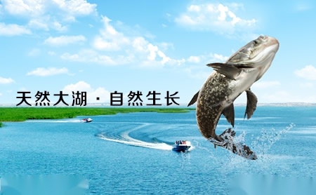 南方永磁 展示图