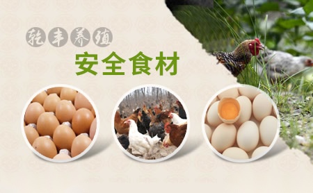 伟轶WAIYAT 展示图