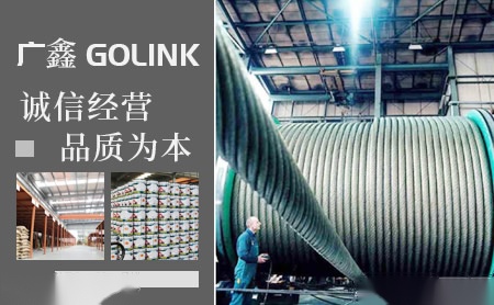 广鑫GOLINK 展示图