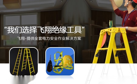 飞翔 展示图