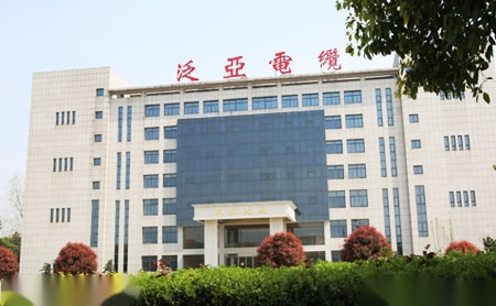 泛亚牌 展示图