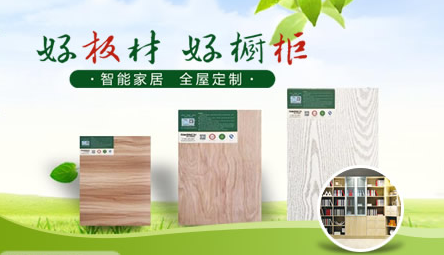 斯华奇Swanch 展示图