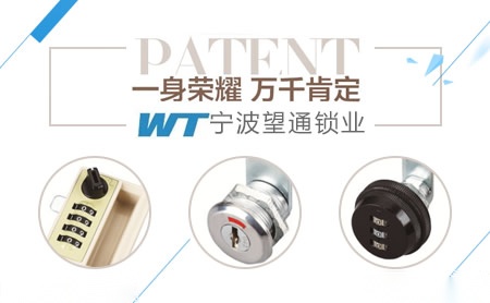 望通WT 展示图