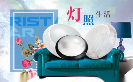 瑞仕达RISTAR 展示图