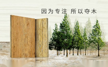 特高特TGT 展示图