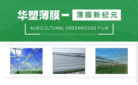 HS华塑 展示图