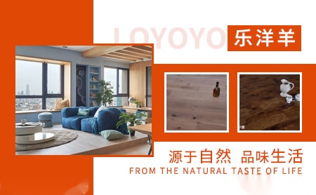 乐洋羊LOYOYO 展示图