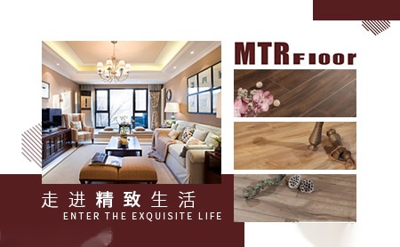 米泰尔MTR 展示图