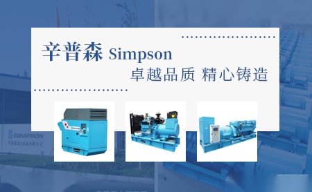 Simpson辛普森 展示图