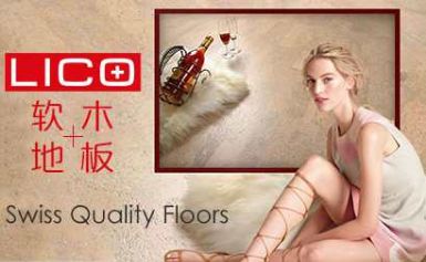 丽蔻LICO 展示图