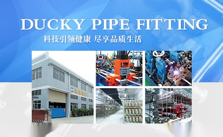 骏宝DUCKY 展示图