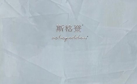斯格登schagedden 展示图