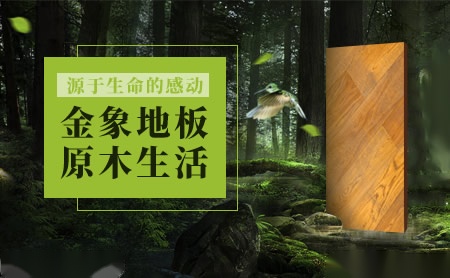 金象地板 展示图