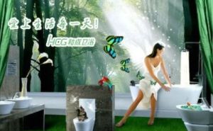 和成卫浴HCG 展示图