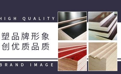 伯仲 展示图