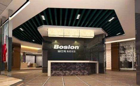 宝仕龙Boslon 展示图
