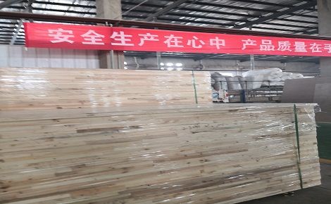 龙犼 展示图