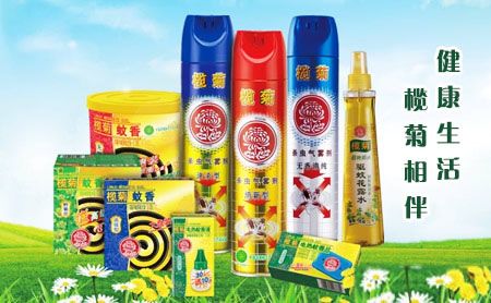 榄菊 展示图