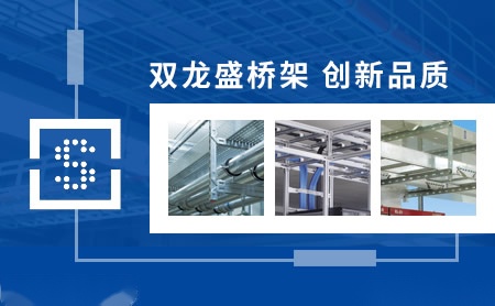 双龙盛 展示图