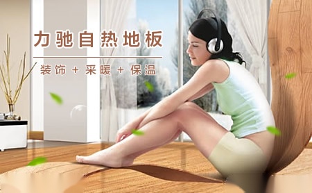 力驰RICHI 展示图