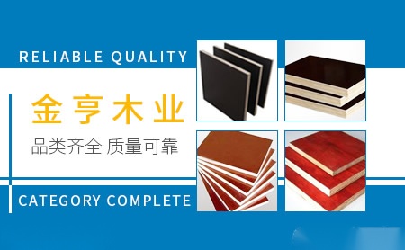 金亨Jinheng 展示图
