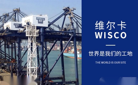 维尔卡WISCO 展示图