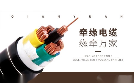 威欧思 展示图