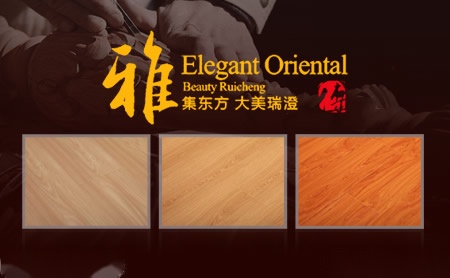 瑞澄RAYCHER 展示图