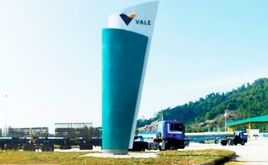 VALE 展示图