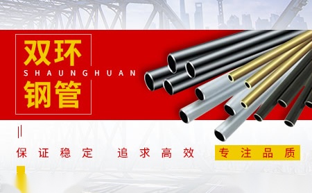 双环 展示图