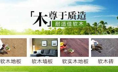 耐适佳INGENCORK 展示图