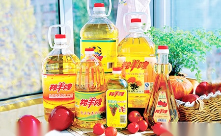宜宽YH 展示图