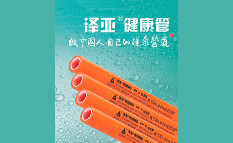 泽亚 展示图