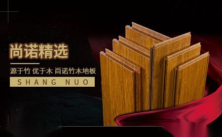 尚诺 展示图